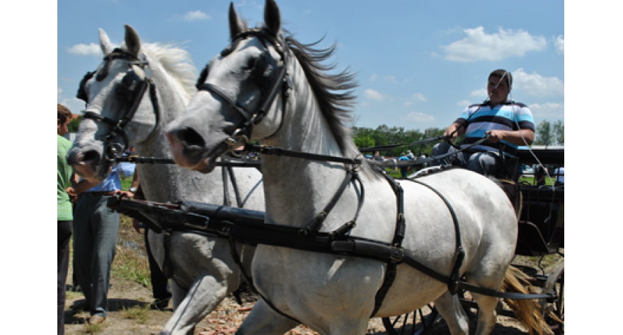 Osma fijakerijada u Pećincima održana na novom terenu